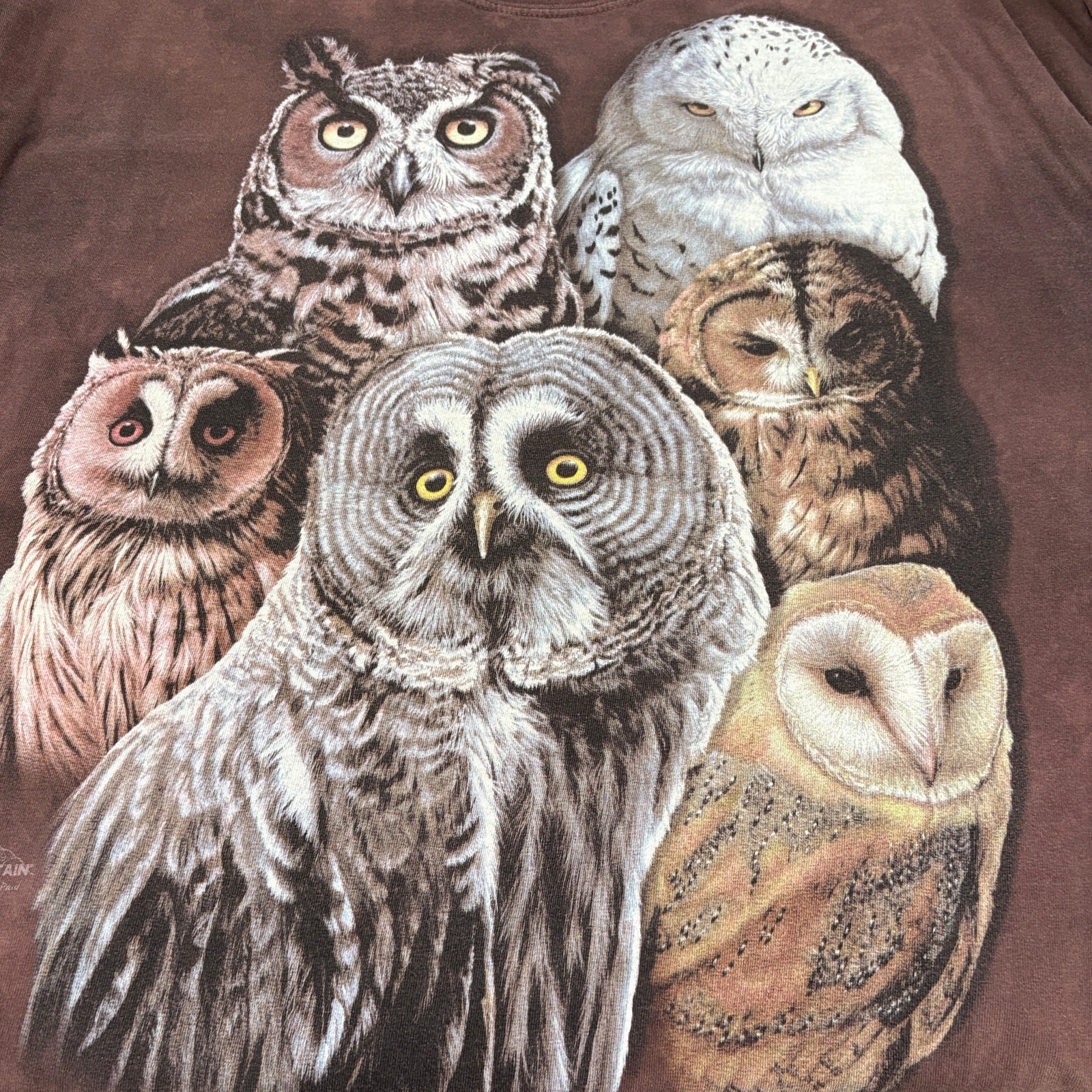 The Mountain Size 2XL T-Shirt Jeremy Paul Multiple Owls Graphic Art 2011 Brown gallery