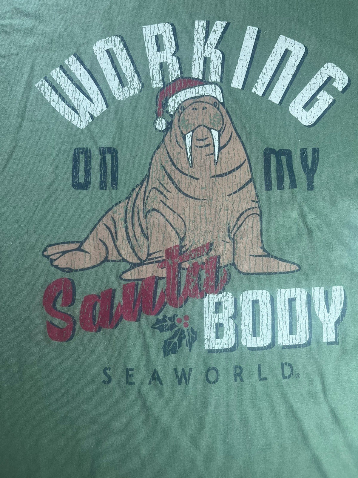 NEW Sea World Santa Body Walrus Christmas Green Graphic T Shirt Size 2XL NWT gallery