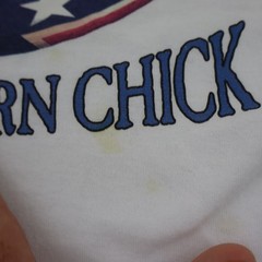 Vintage 90s Bob Harrison Southern Chick Cat T Shirt Mens XL White Jerzees Tee