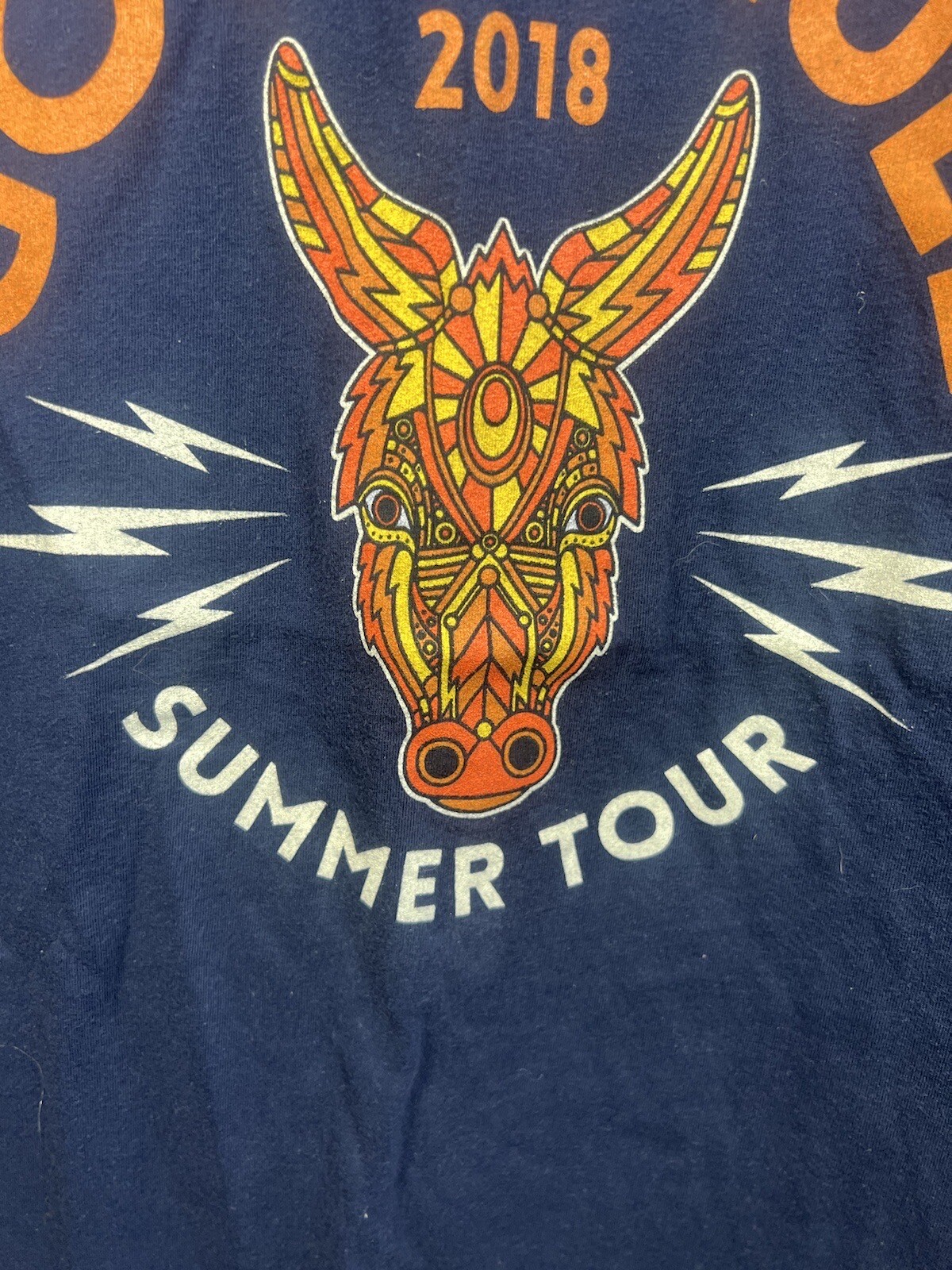 Government Mule 2018 Band Music Tour Shirt Blue T Shirt Size Large Canvas Tags gallery