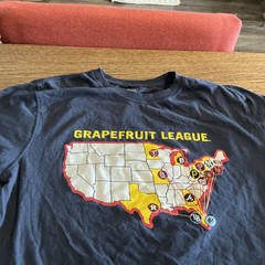 MLB Florida Spring Training Grapefruit League New Era T-Shirt – Size Small-READ