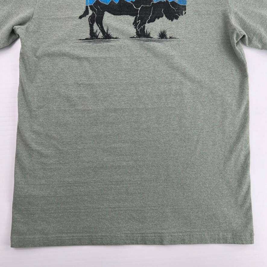Patagonia Shirt Men Small Bison Responsibili Tee Graphic Work Party Gym Core Ex gallery
