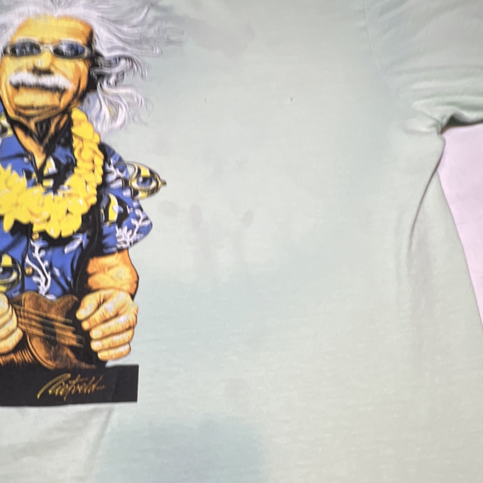Hering's Sand Bar Light Green Graphic Print T-Shirt Men's Short Sleeve Hawaiian gallery