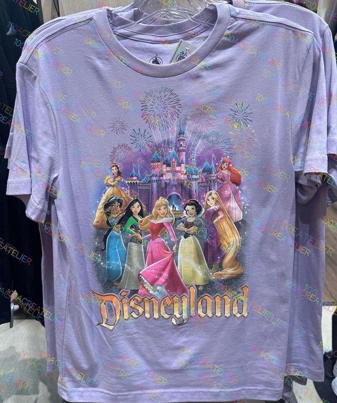 Disney Parks 2026 Disneyland Princess Castle T-Shirt  All Size  S-5XL