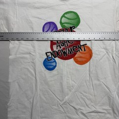 Vintage 90s Arthur Ashe Endowment Tee XL Fruit of the Loom Lofteez