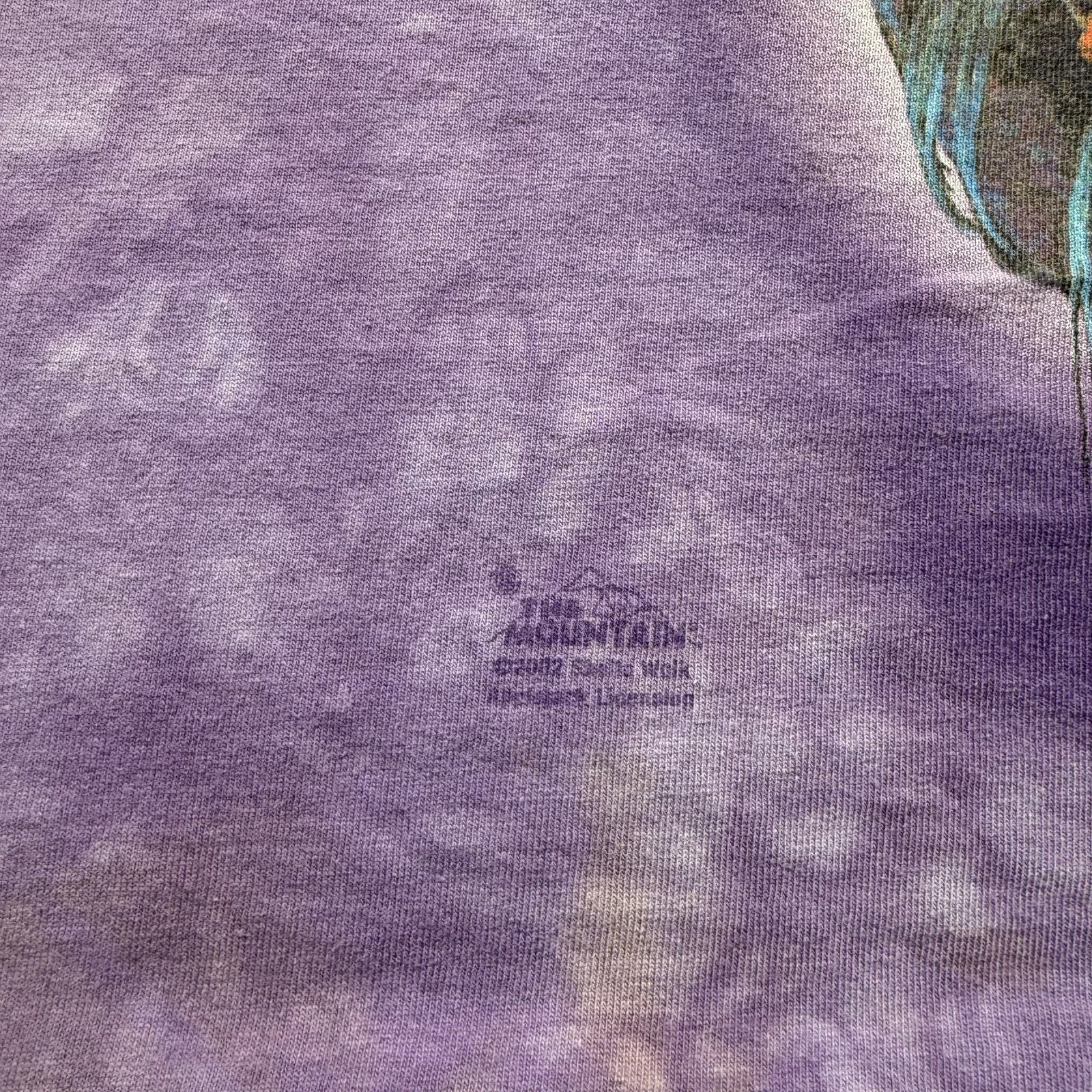 Vintage 2002 The Mountain Mermaid Mystical Fantasy Art Graphic T-Shirt USA Large gallery