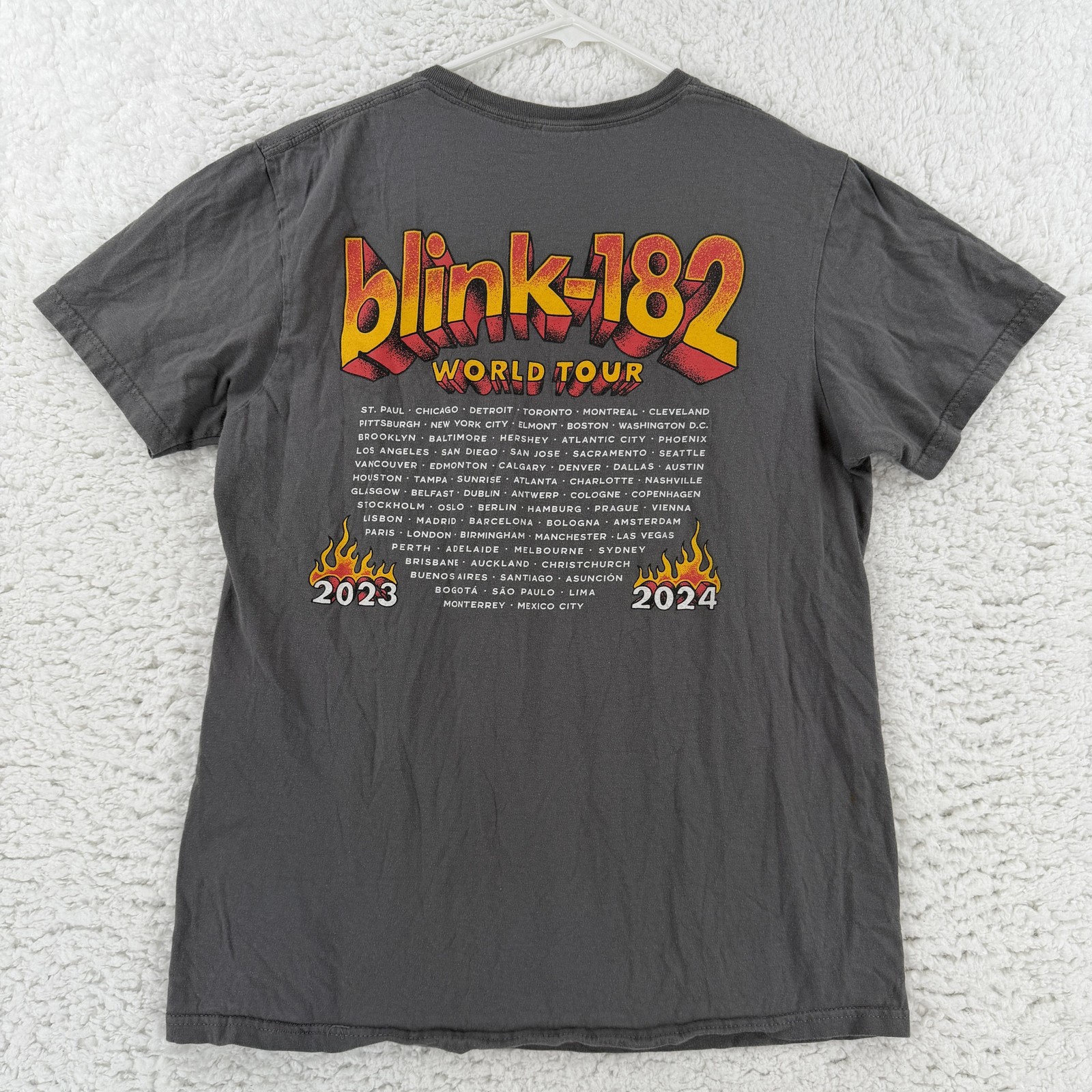 Blink-182 Shirt Mens Medium Gray 2023 2024 World Tour Graphic Tee T-Shirt Gildan gallery