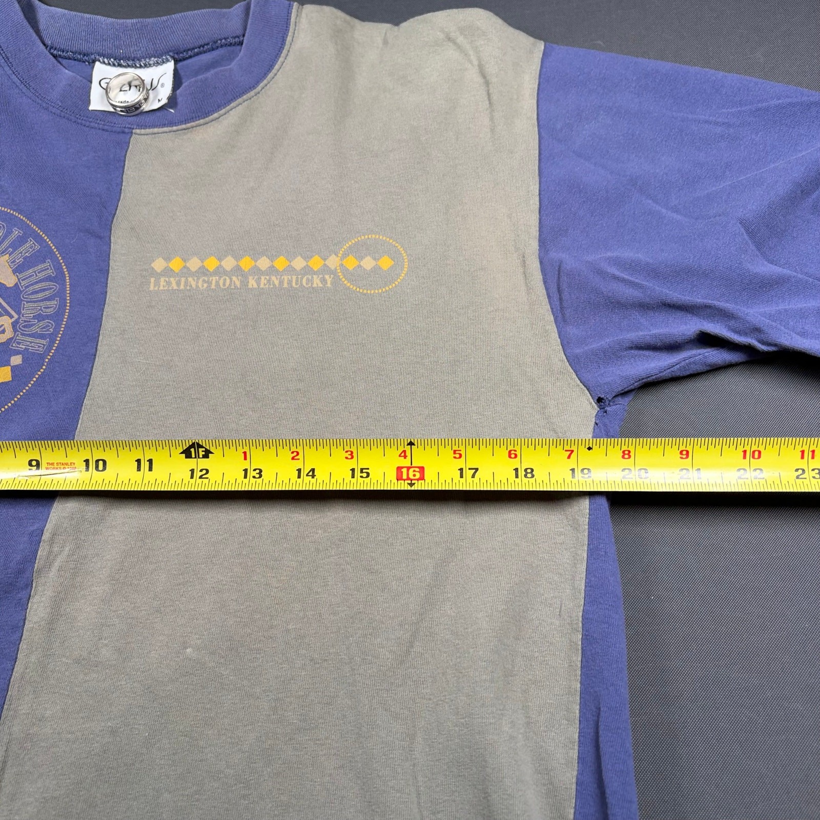 Vintage Genus Two-Tone Color Block Graphic T-Shirt Men's Medium American Saddle gallery