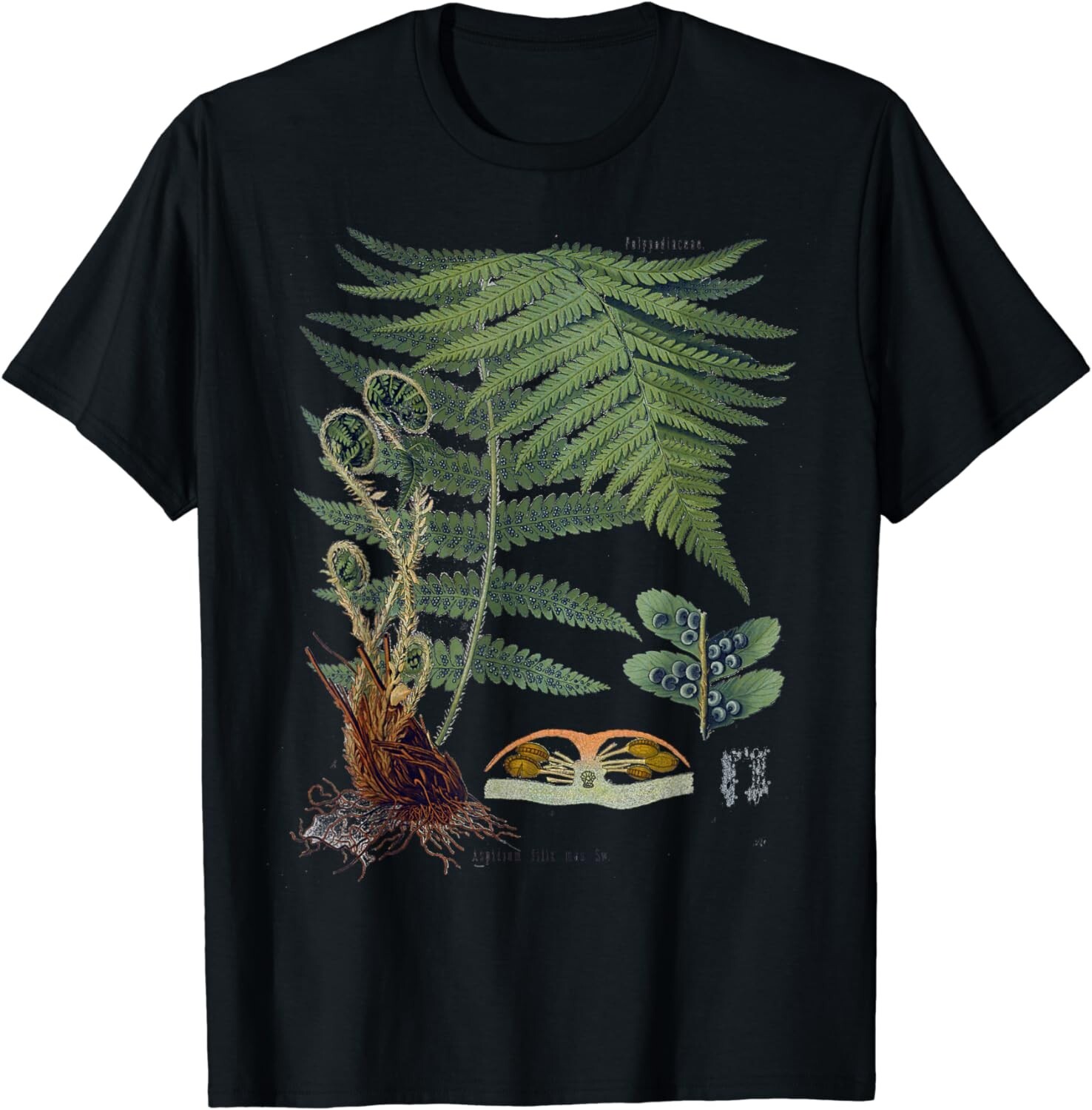 Fern Botanical Plant Botany T-Shirts Gift Unisex T-Shirt gallery