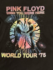 Gorgeous Authentic Pre-owned Men’s Pink Floyd Wish You Were Here ‘75 Tour Shirt