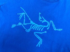 Auth Men’s Arcteryx Archaeopteryx Blue Cotton Outdoor Casual t Shirt Size M
