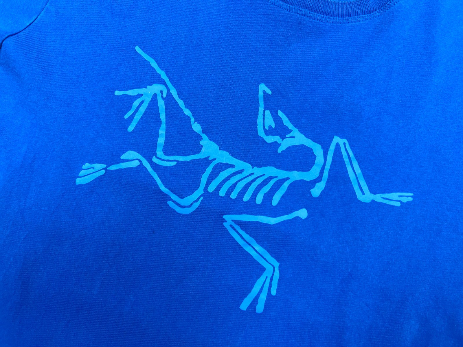Auth Men's Arcteryx Archaeopteryx Blue Cotton Outdoor Casual t Shirt Size M gallery