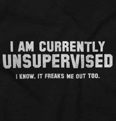 Currently Unsupervised Funny Adulting Drink Long Sleeve Tshirt Tee for Adults