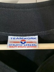 Teamwork Athletic Apparel Vipers Baseball Button Jersey No 17 Rebecca Sz XL