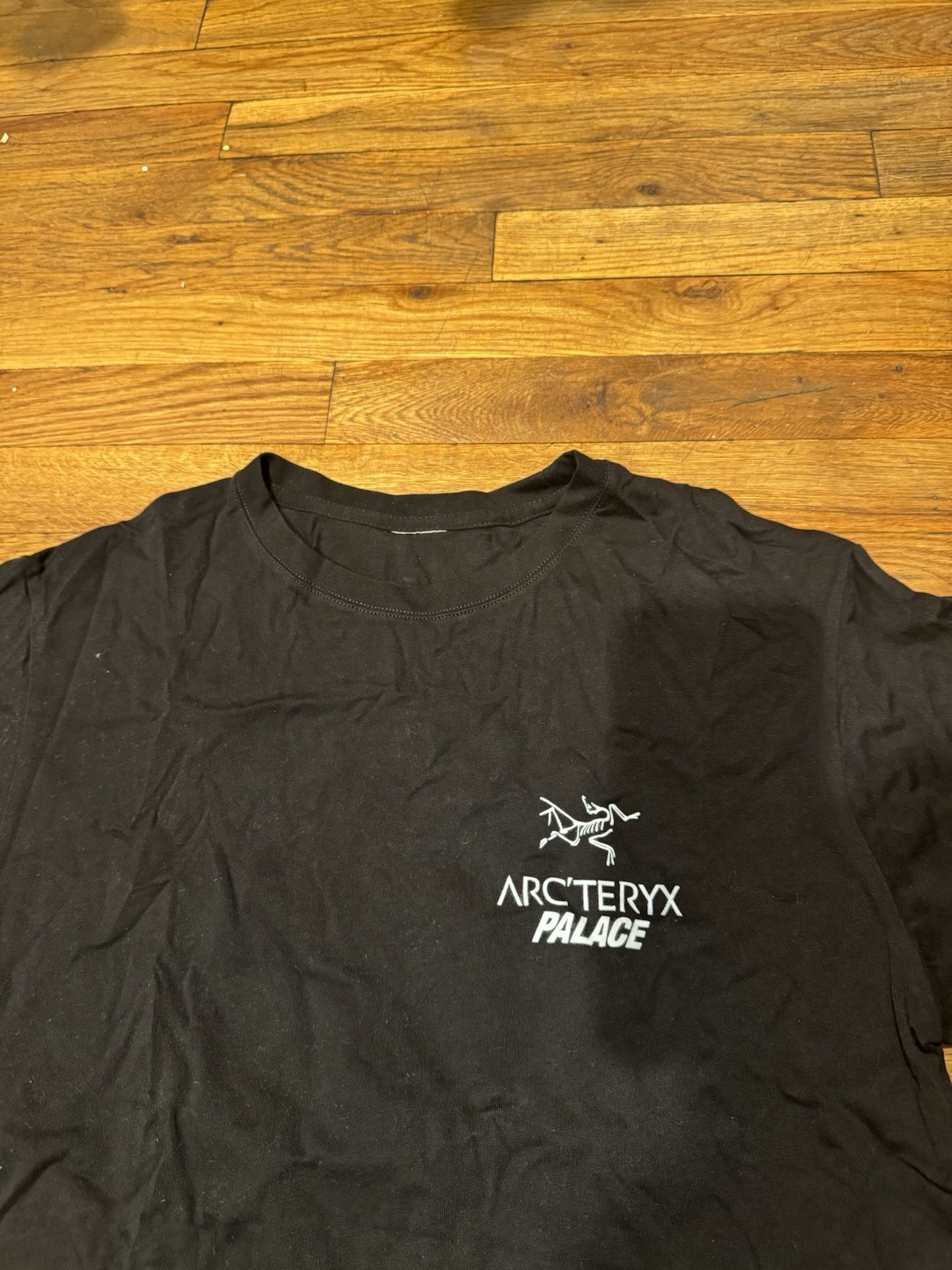 Arc'teryx x Palace Skateboards Black T-Shirt Size M Gorpcore gallery