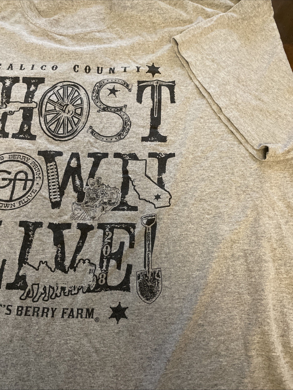 Knott's Berry Farm CALICO GHOST TOWN ALIVE 2018 Gray 4XL T-shirt gallery
