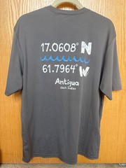 A4 Men’s Cooling Performance T Shirt Grey Antigua West Indies (Form fitting)