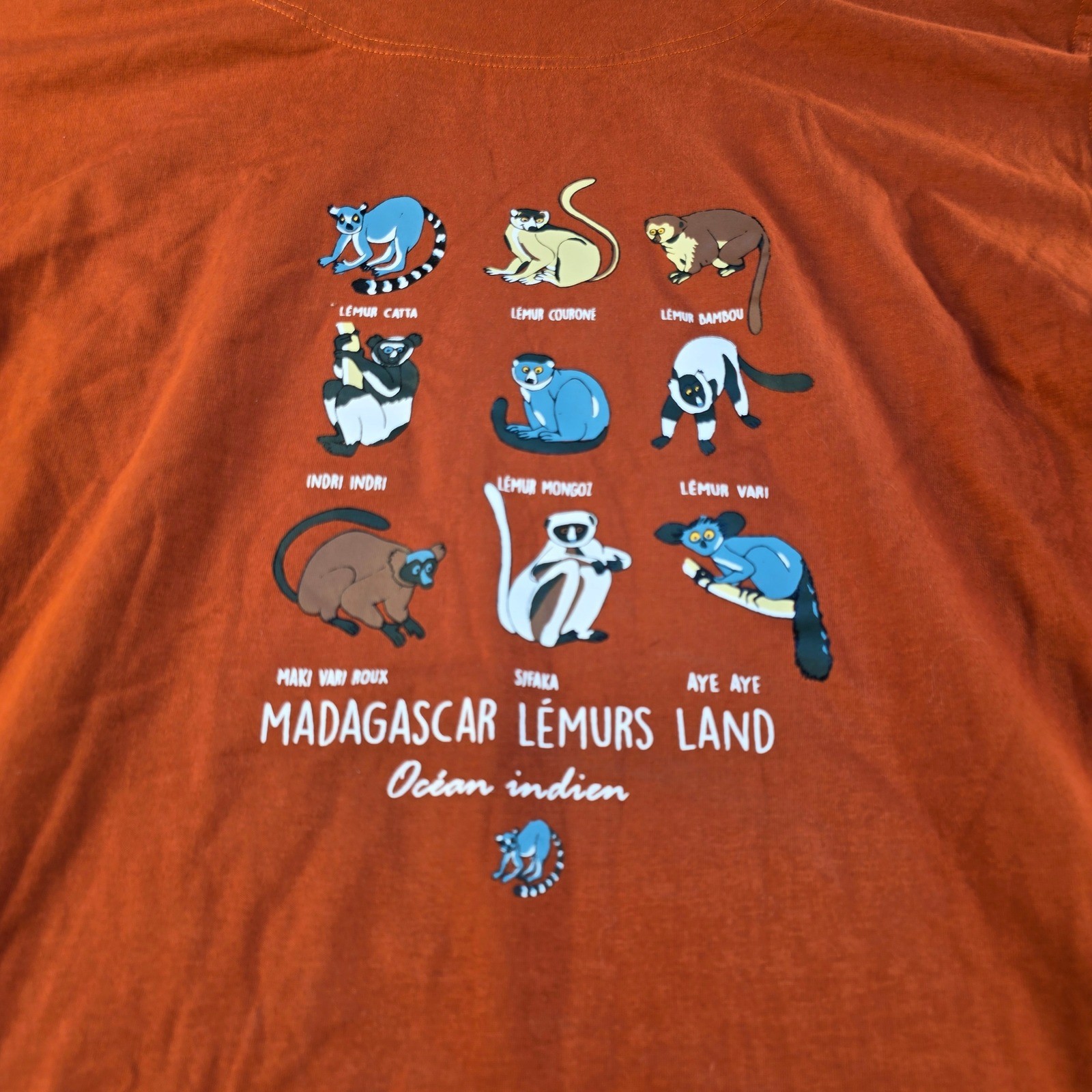 Maki Company Madagascar Lemurs Land Graphic T-Shirt Burnt Orange Mens Medium gallery