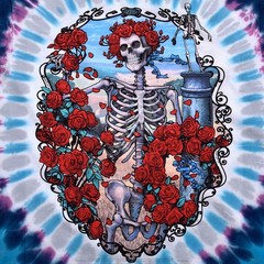 [Limited Edition] Vintage Grateful Dead 30th Anniversary Tie-Dye T-Shirt Liquid