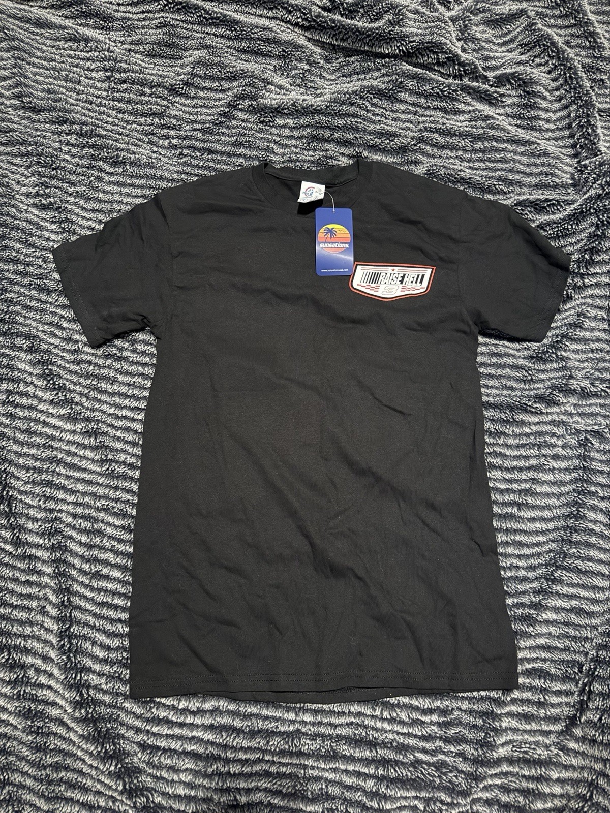 Delta Pro Weight Raise Hell Praise Dale NASCAR Dale Black T-Shirt, Size S gallery