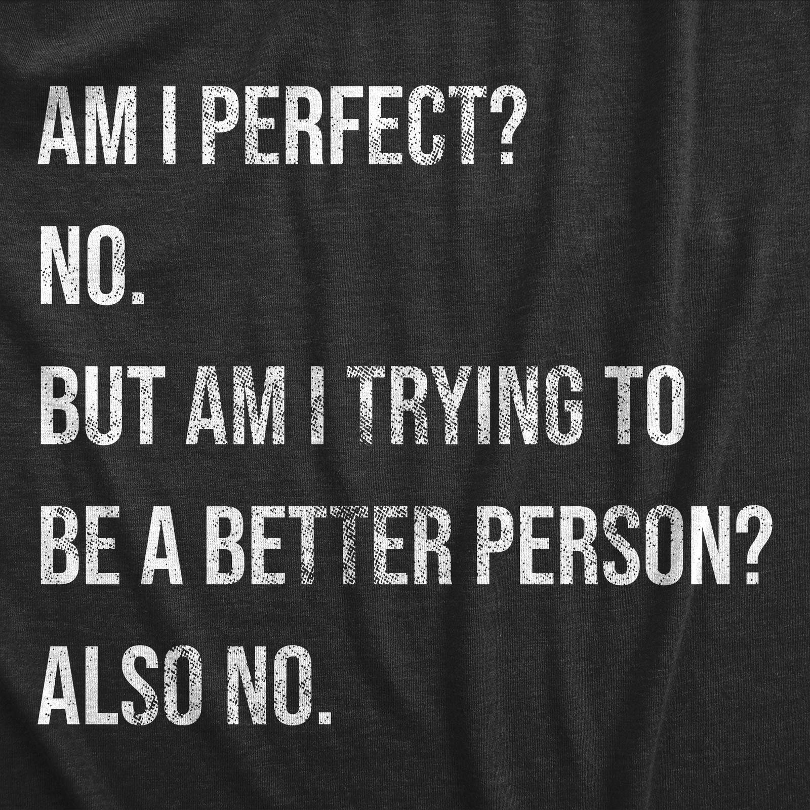 Mens Am I Perfect No T Shirt Funny Sarcastic Self Improvement Joke Novelty Tee gallery