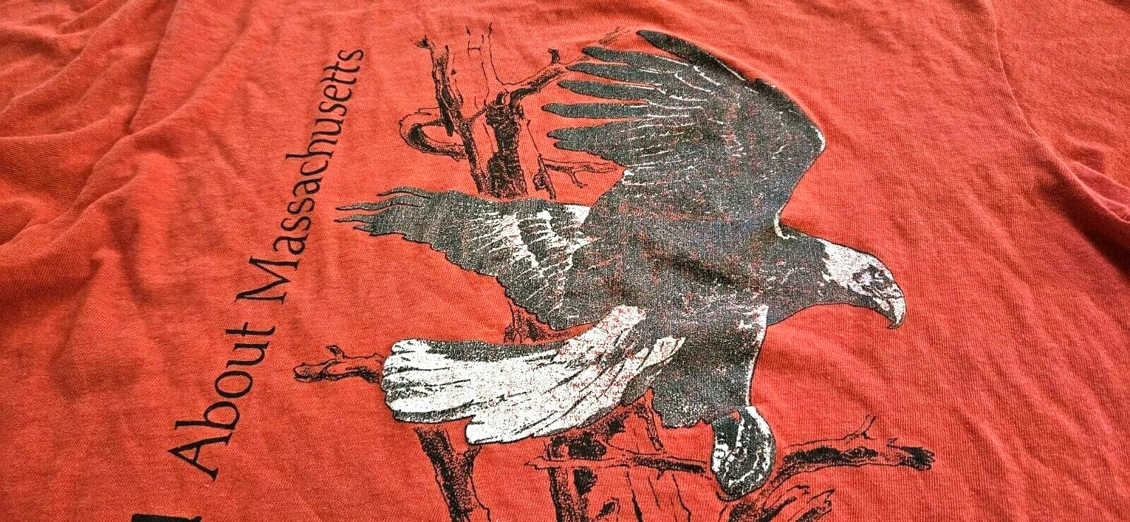 Vintage Massachusetts Audubon Society Eagle T-Shirt 80s 90s Single Stitch Red gallery