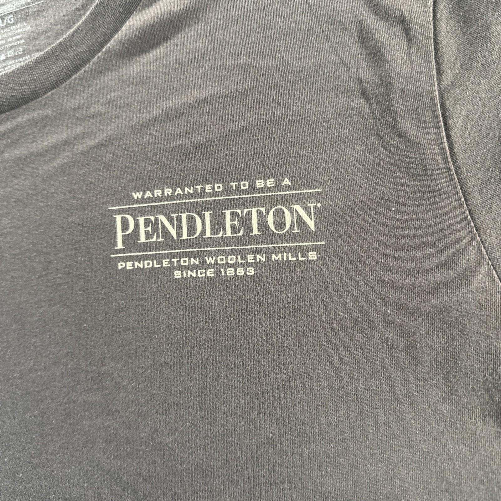 Pendleton Men’s graphic T Shirt Brown Short Sleeve Outdoors Camping LARGE NWOT gallery