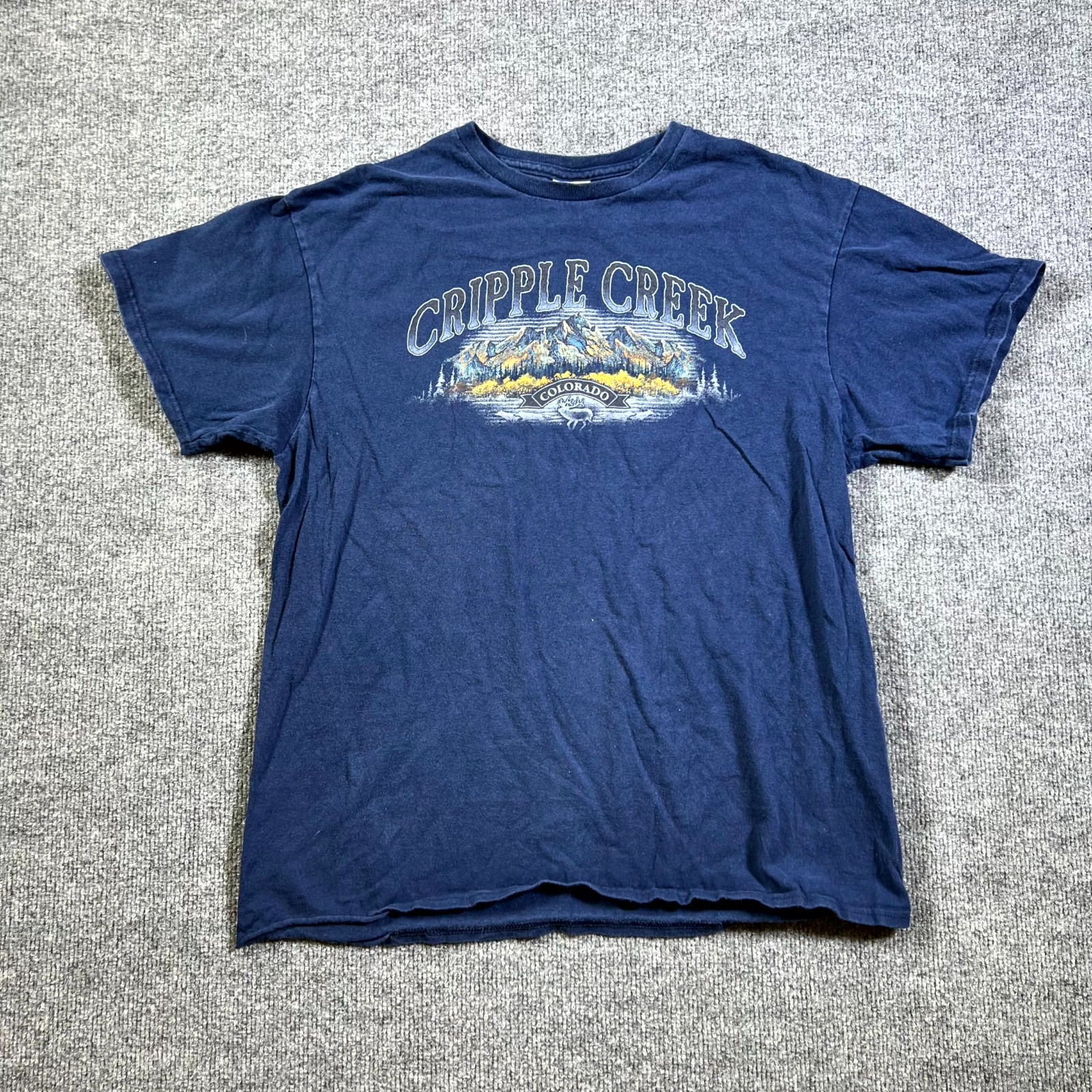 Delta Pro Weight T-Shirt Mens L Blue Cripple Creek Colorado Graphic Short Sleeve gallery