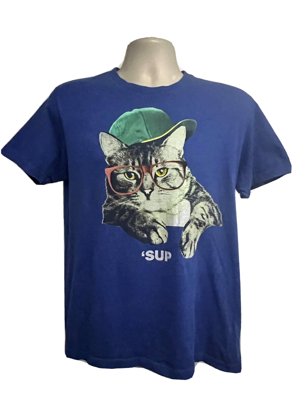 Hip Hop Streetwear Blue Graphic Novelty Cat T-Shirt Small Funny Animal Print gallery