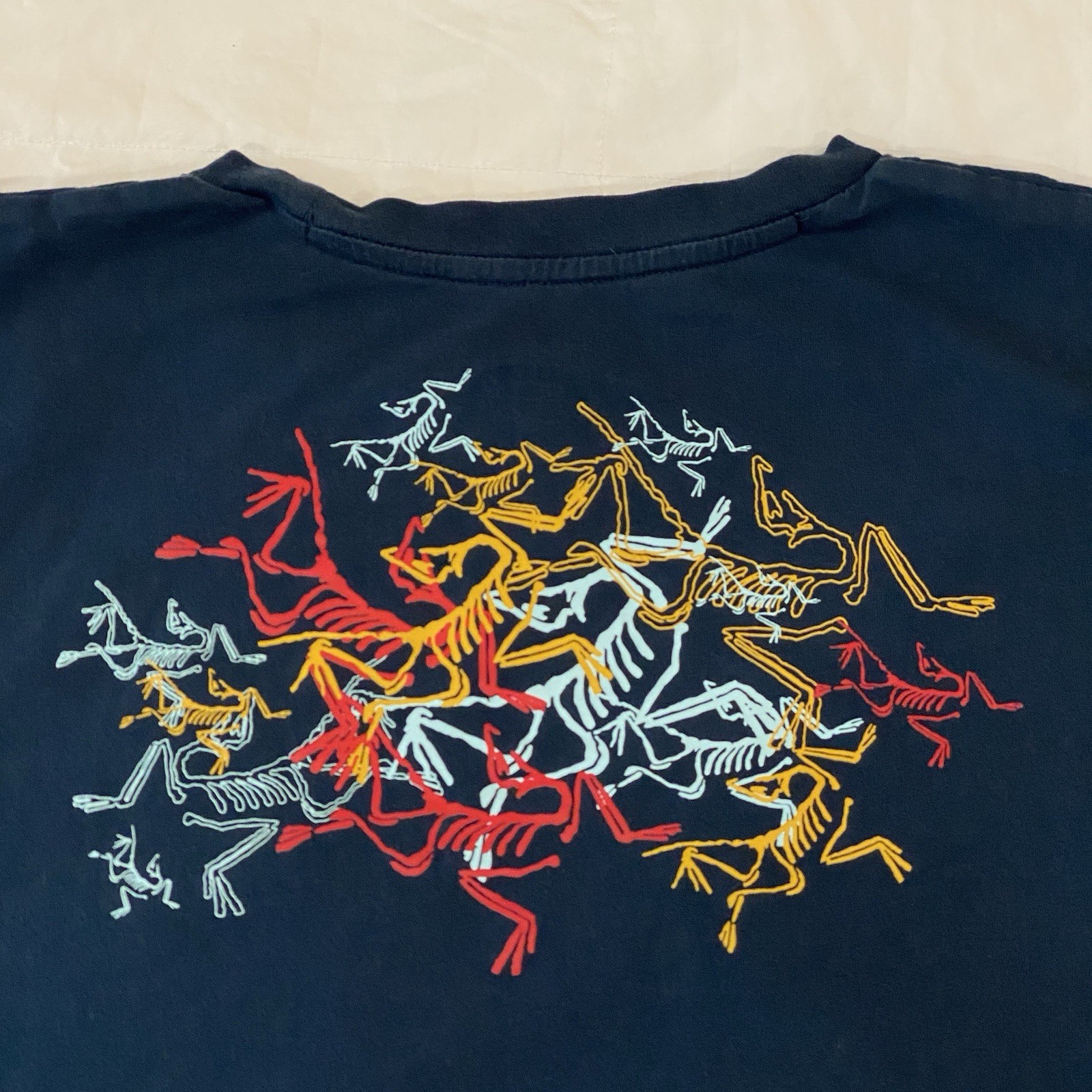 Vintage Arcteryx Multi Bird Tee Gen 1 - Excellent- Mens Large - Admiral - Rare gallery