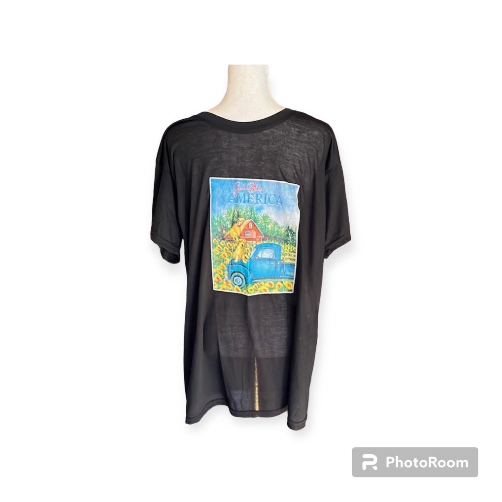 God Bless America Men's Graphic Print Semi Sheer T-Shirt Black Size L gallery