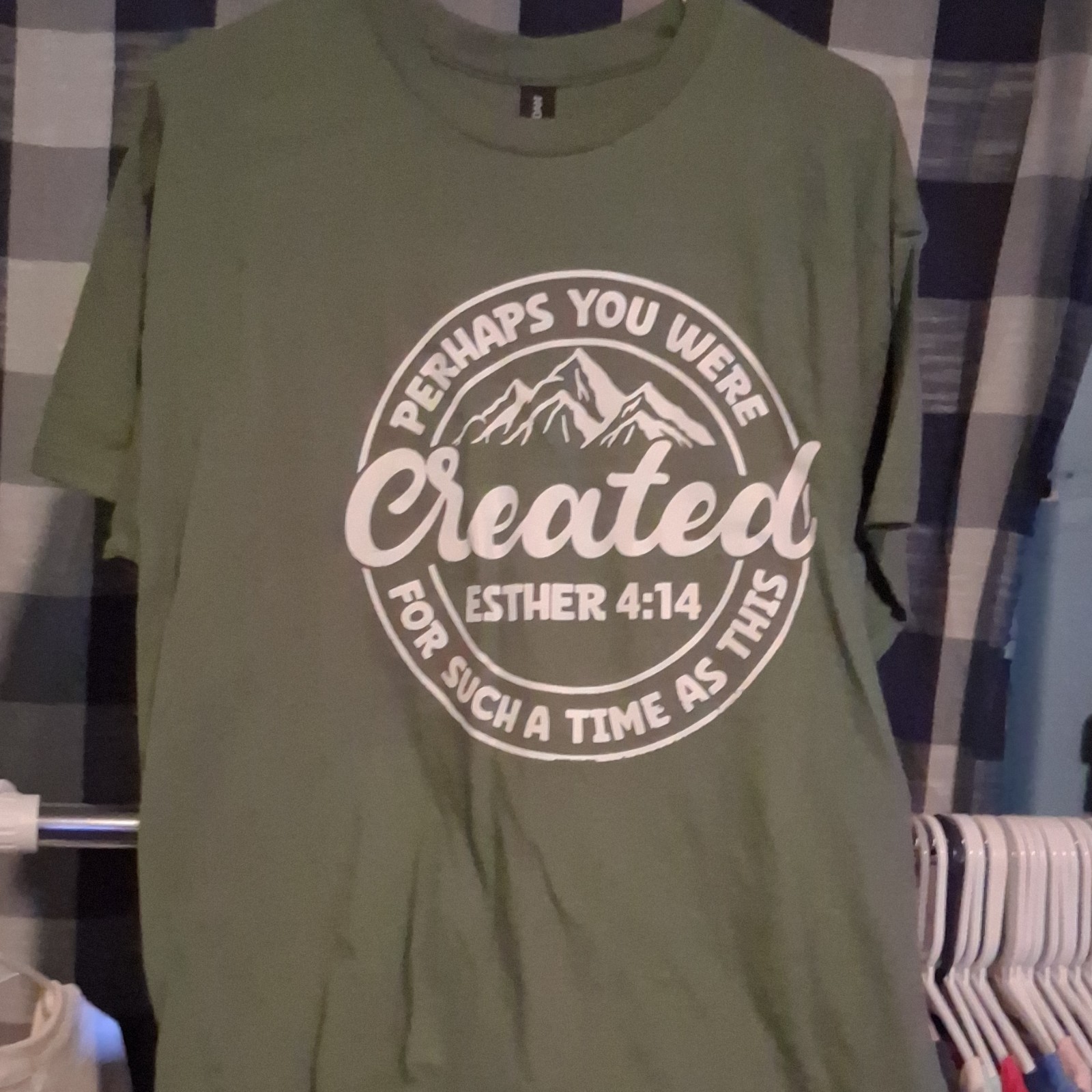 Gildan Heavy Cotton Men’s L Green Crew Neck Short Sleeve Esther 4:14 Tee