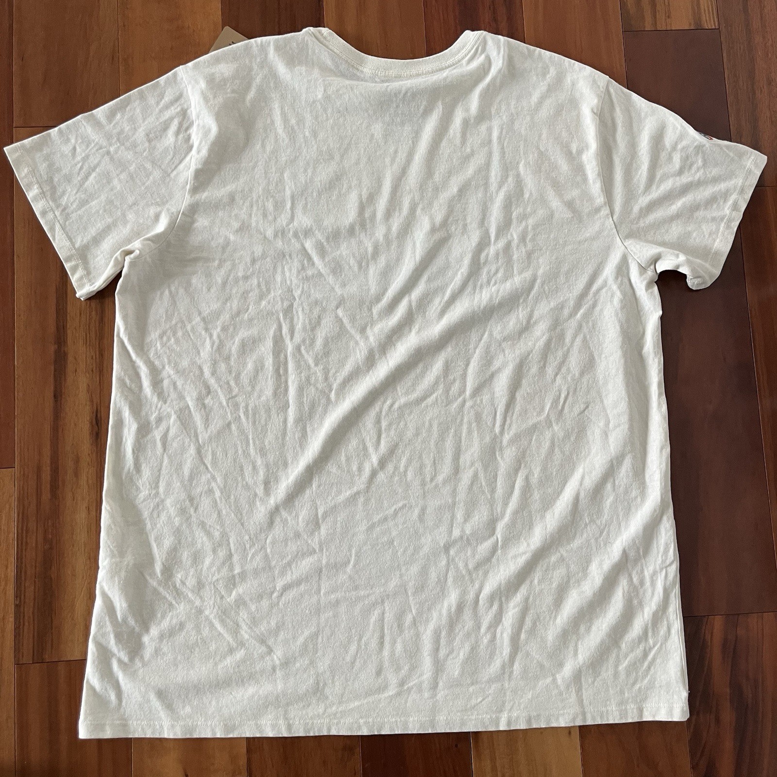 PATAGONIA Men's 2XL (Women 3XL) Fitz Roy Icon Responsibili Tee Shirt Birch White gallery