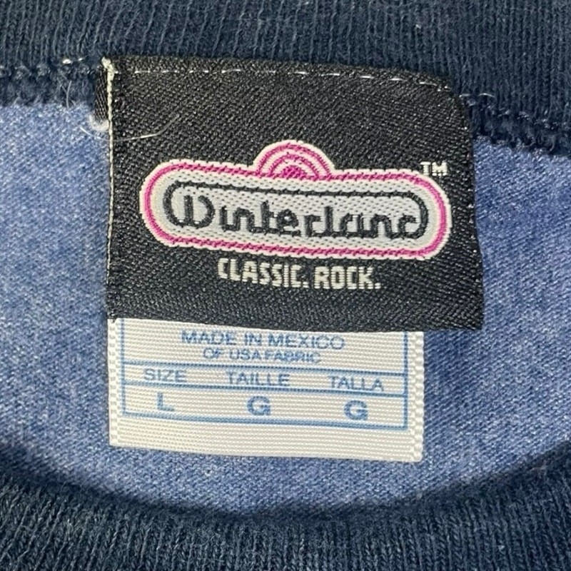Vintage Winterland Unisex 2003 Blue Lynyrd Skynyrd Band Ringer Tee Large gallery