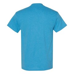 Nebraska State Bird – State Pride T Shirt – Heather Sapphire