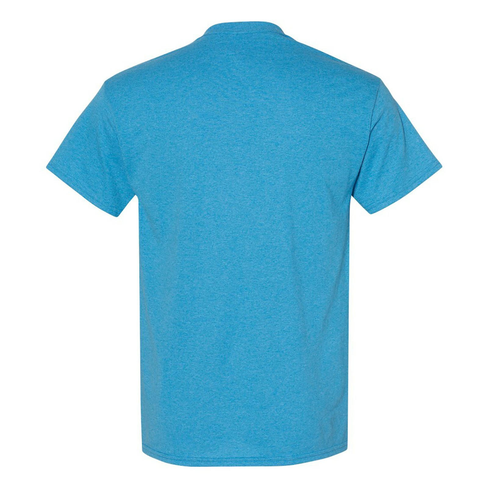 Nebraska State Bird - State Pride T Shirt - Heather Sapphire gallery