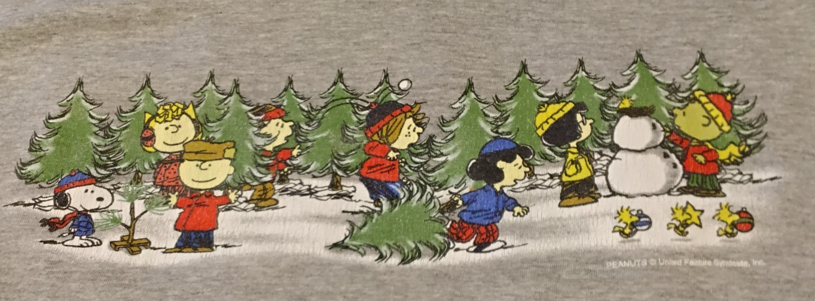 Peanuts Gang Winter Scene On Hanes Beefy T Size XL Gray