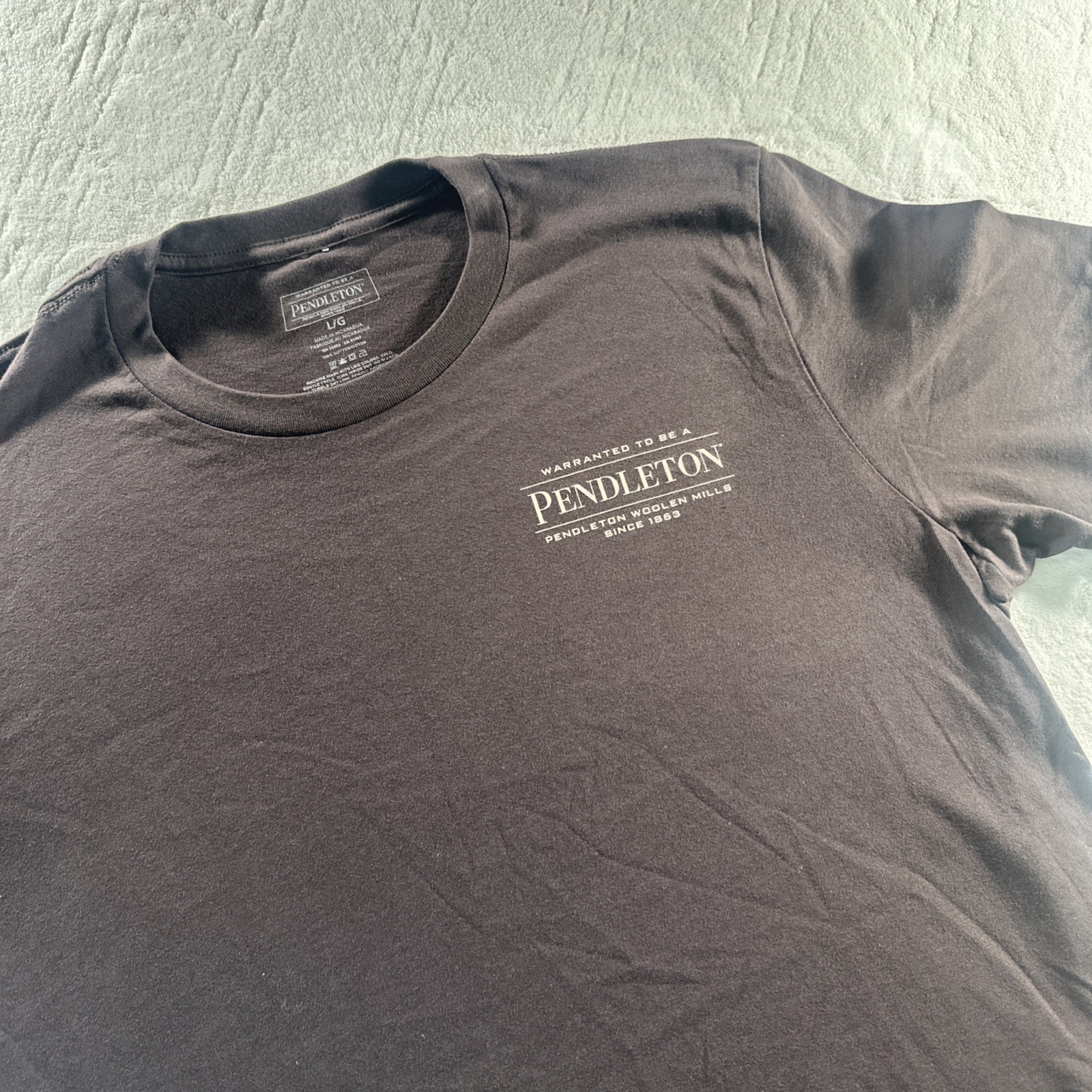 Pendleton Men’s graphic T Shirt Brown Short Sleeve Outdoors Camping LARGE NWOT gallery