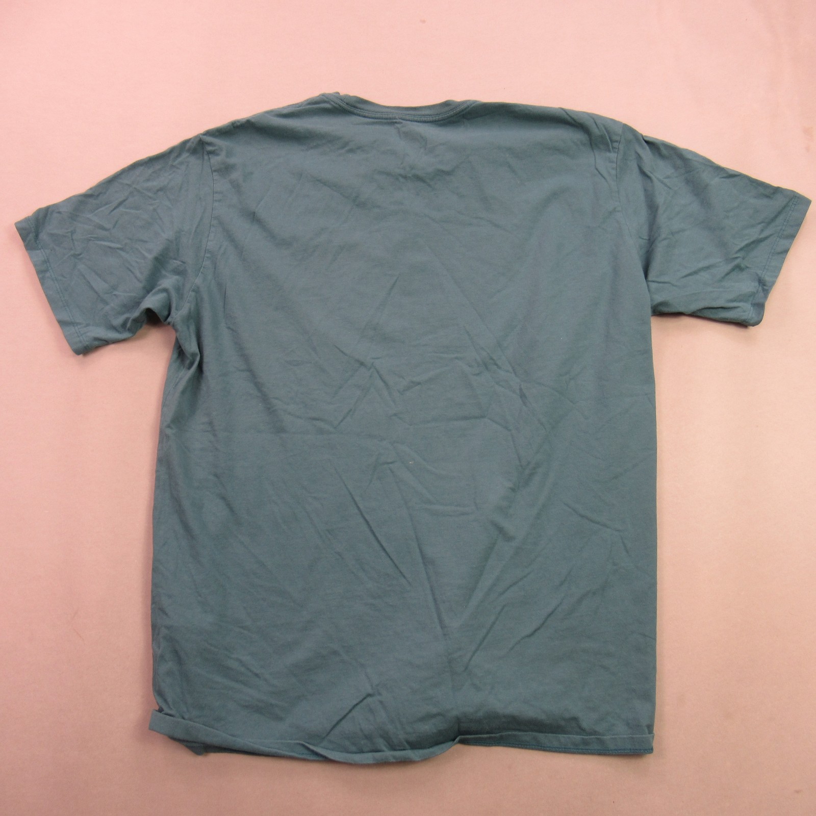 Patagonia Men's Teal Graphic T-Shirt Organic Cotton "Applied Imagination" Size L gallery