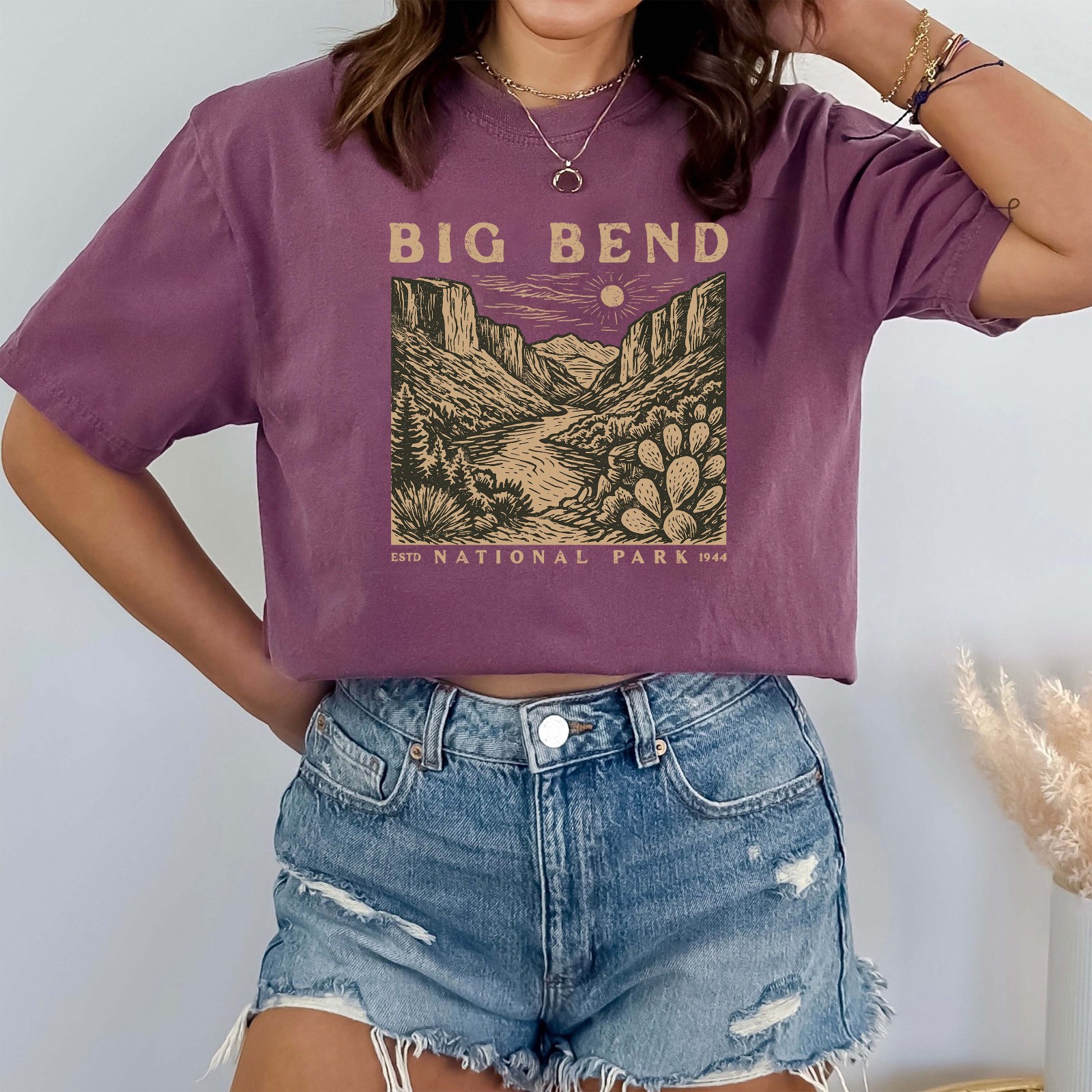 Big Bend National Park Comfort Tee Mens Texas Outdoor Hiking gallery