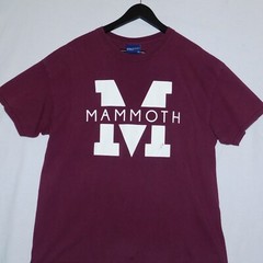 Vintage 1990s MAMMOTH Lakes Mountain California Arizona Cotton T Shirt Men’s XL