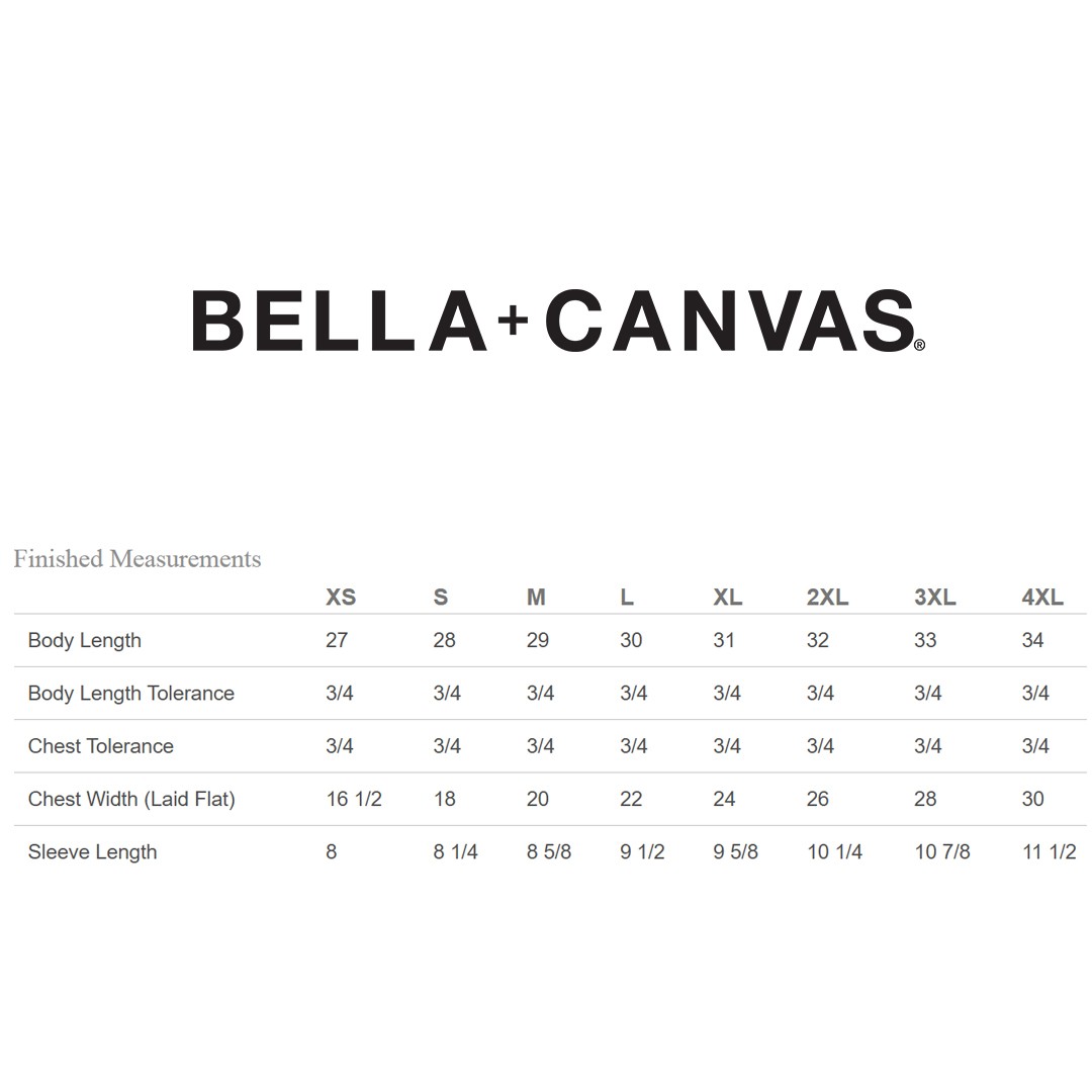 2 Pack Of Bella + Canvas 3413C Unisex Pre-Shrunk TShirt Triblend Stylish T-Shirt gallery
