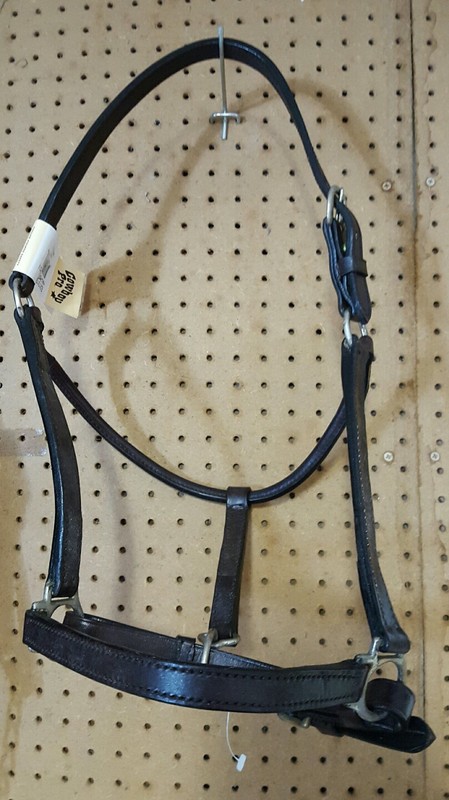 Cowboy Pro Doubled Stiched Leather Show track cob Horse size Halter 3/4″