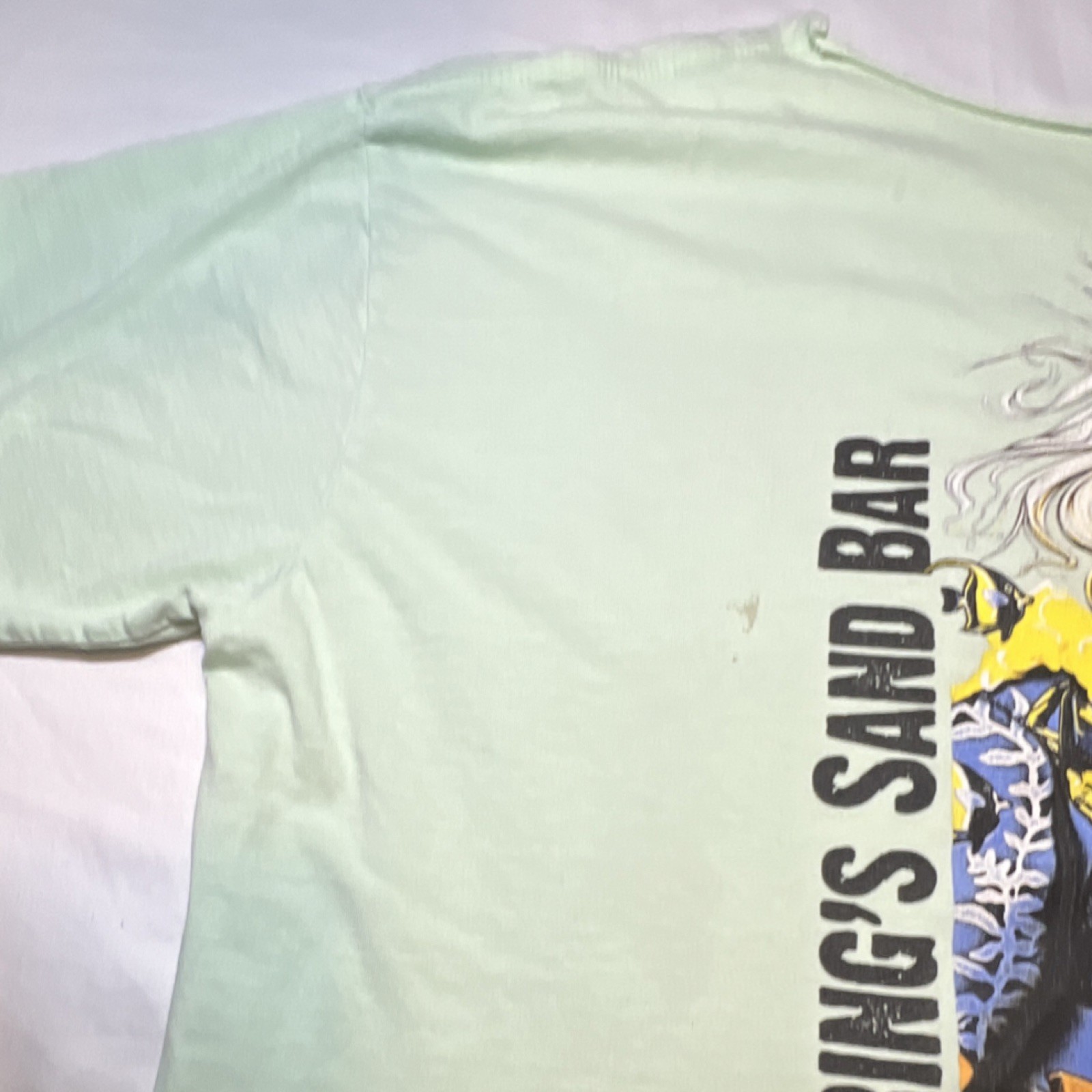 Hering's Sand Bar Light Green Graphic Print T-Shirt Men's Short Sleeve Hawaiian gallery