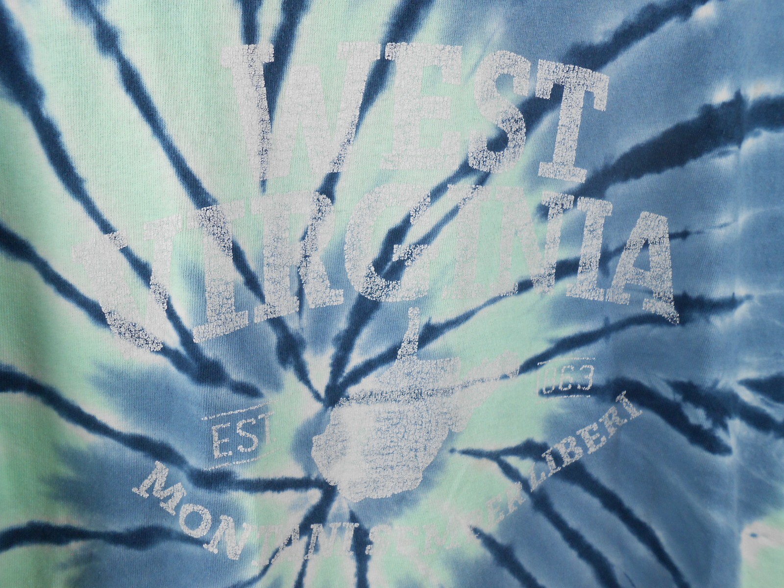 West Virginia State Souvenir Adult L Tie Dye Blue Green Logo T-Shirt Gildan gallery
