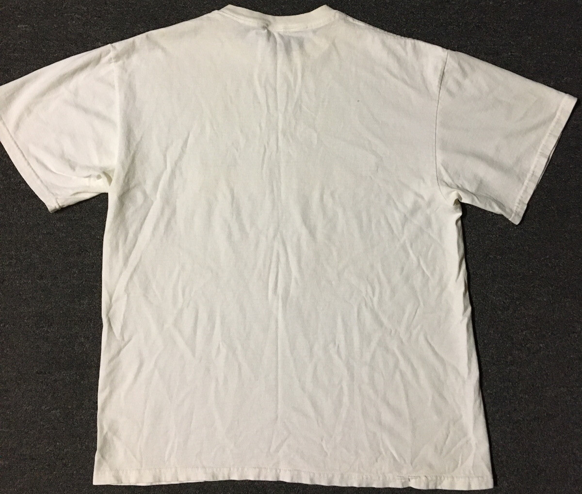 Vtg 90s Im On A 30 Day Diet Ive Lost 15 Days Faded Shirt M Sarcasm Funny Saying gallery
