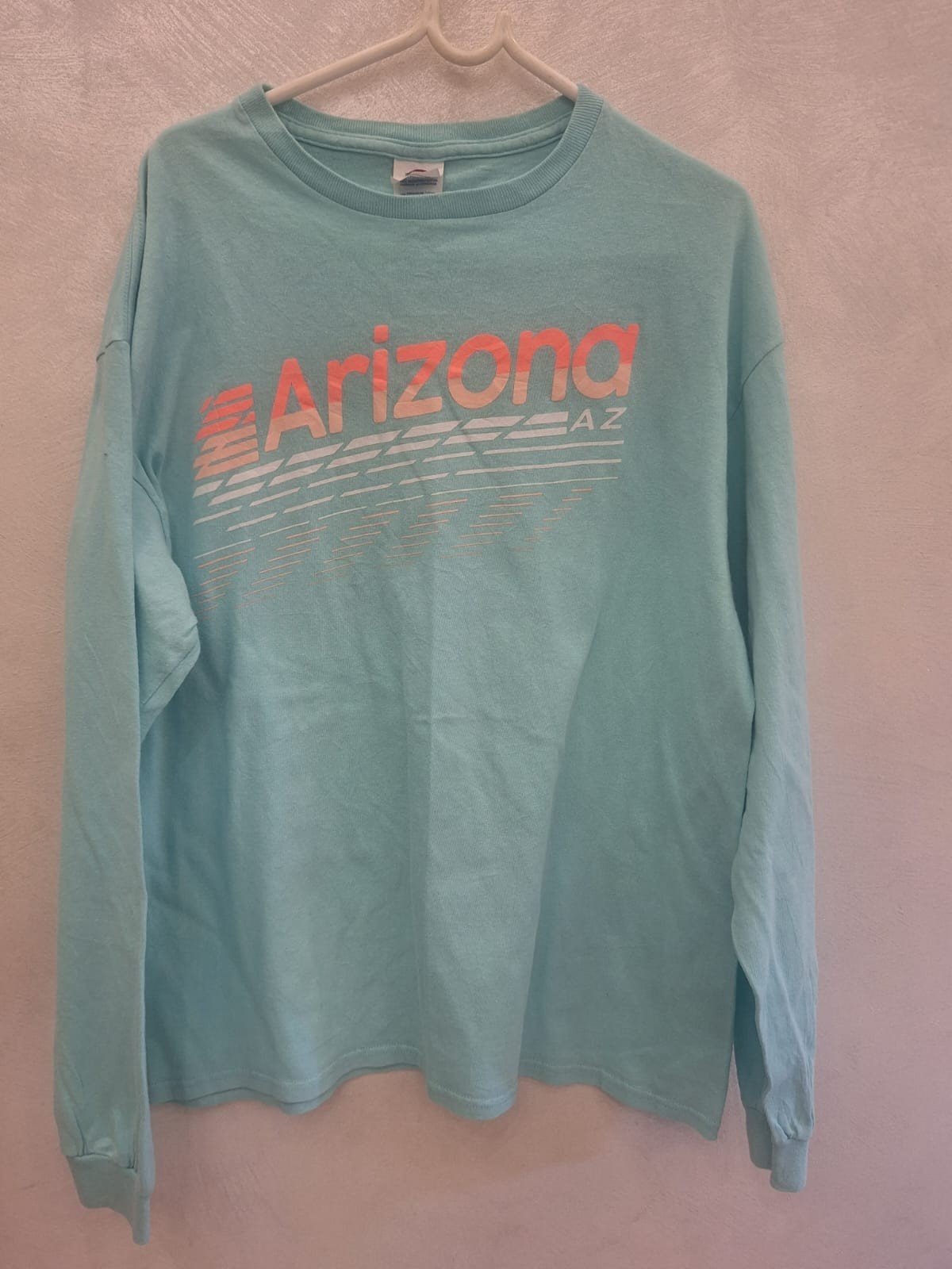 Arizona AZ Graphic T-Shirt Adult Large Aqua Blue Delta Pro Weight Cotton gallery