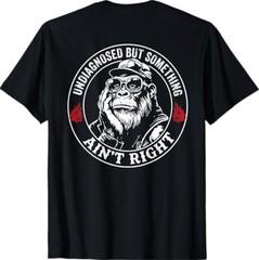 (ON Back) Undiagnosed But Something Ain’t Right Funny Saying T-Shirt