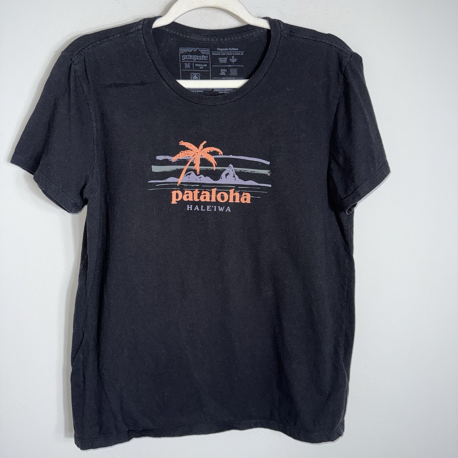 Patagonia Pataloha Short Sleeve T Shirt-Black-Organic Cotton-Medium gallery