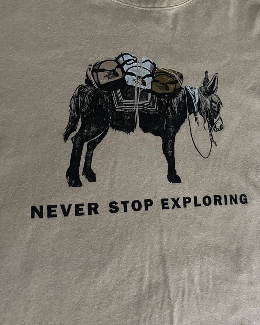 The North Face Pack Mule Donkey Burro Never Stop Exploring Tan T-Shirt Mens L gallery